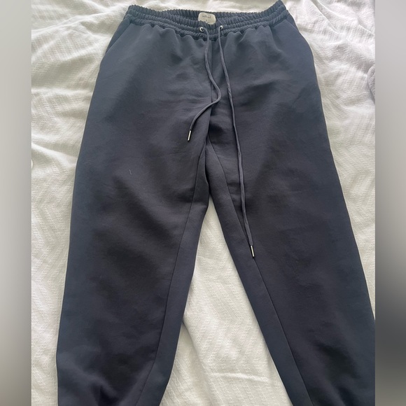 Aritzia Jogger - Picture 1 of 4